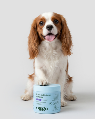8 in 1 complex supplement multivitamin for your pet's health and energy Oggo 180 g - 2