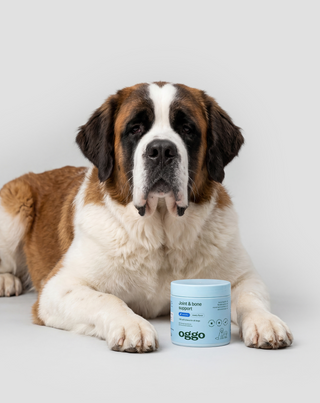 Joint & Bone Support complementary karma for dogs for joints and bones Oggo 180 g - 3