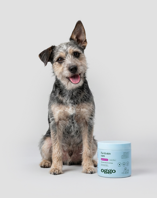 Fur & Skin supplement for dogs for beautiful coat and healthy skin Oggo 180 g - 2