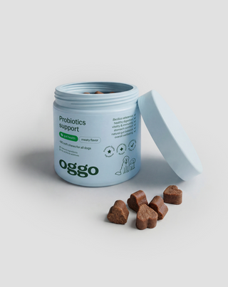 Probiotics for dogs complementary food for digestion, digestive system and immunity Oggo 180 g - 4