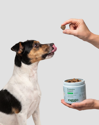 Probiotics for dogs complementary food for digestion, digestive system and immunity Oggo 180 g - 2