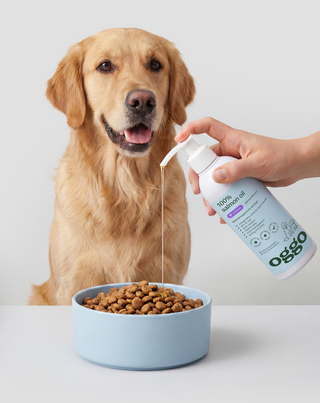 Salmon Oil 100% complementary feed for dogs for immunity and energy Oggo 250 ml - 3
