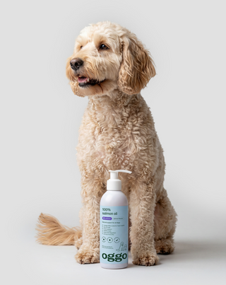 Salmon Oil 100% complementary feed for dogs for immunity and energy Oggo 250 ml - 2