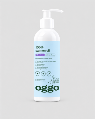 Salmon Oil 100% complementary feed for dogs for immunity and energy Oggo 250 ml - 1
