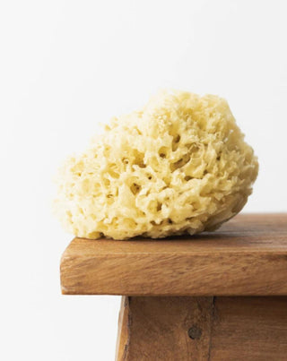 Hhuumm hypoallergenic and antibacterial natural yellow sea sponge 12.5cm O3H - 2