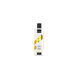 Shampoo for Curly Hair with Hyaluronic Acid Professional Vis Plantis - 1