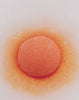 Sparkling bath ball with nourishing oils to moisturize the skin Nutridome Orange Vanilla_4