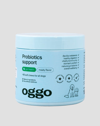 probiotics for dogs dietary supplements for dogs for digestion, digestive tract, and immune system 180 g